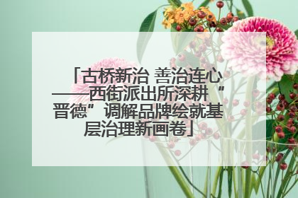 古桥新治 善治连心——西街派出所深耕“晋德”调解品牌绘就基层治理新画卷