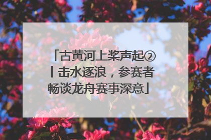 古黄河上桨声起②丨击水逐浪，参赛者畅谈龙舟赛事深意