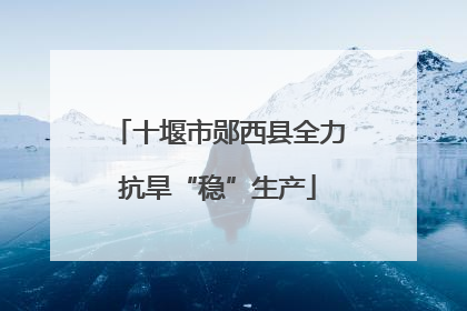 十堰市郧西县全力抗旱“稳”生产