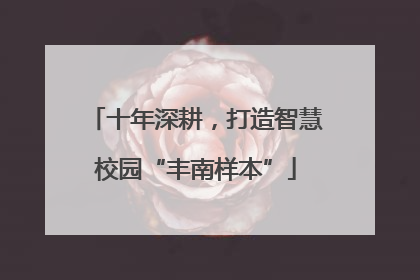 十年深耕，打造智慧校园“丰南样本”