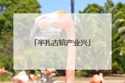 半扎古镇产业兴