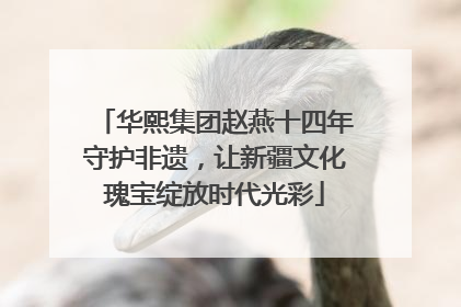 华熙集团赵燕十四年守护非遗，让新疆文化瑰宝绽放时代光彩