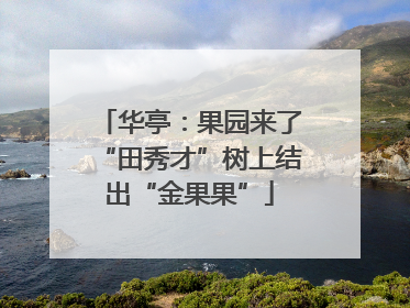 华亭：果园来了“田秀才”树上结出“金果果”