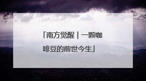 南方觉醒｜一颗咖啡豆的前世今生