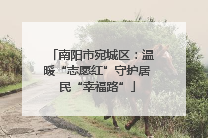 南阳市宛城区：温暖“志愿红”守护居民“幸福路”