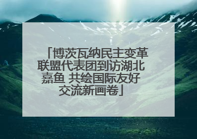 博茨瓦纳民主变革联盟代表团到访湖北嘉鱼 共绘国际友好交流新画卷