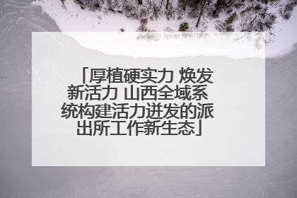 厚植硬实力 焕发新活力 山西全域系统构建活力迸发的派出所工作新生态