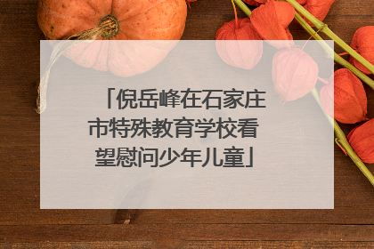 倪岳峰在石家庄市特殊教育学校看望慰问少年儿童