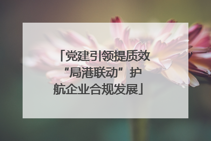 党建引领提质效 “局港联动”护航企业合规发展