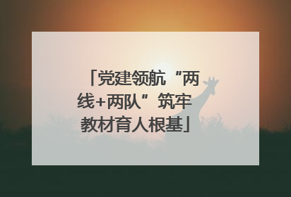 党建领航“两线+两队”筑牢教材育人根基
