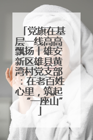 党旗在基层一线高高飘扬丨雄安新区雄县黄湾村党支部：在老百姓心里，筑起“一座山”