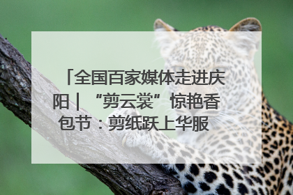 全国百家媒体走进庆阳｜“剪云裳”惊艳香包节：剪纸跃上华服 非遗焕发新彩