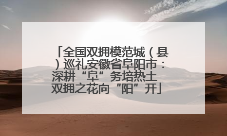 全国双拥模范城（县）巡礼安徽省阜阳市：深耕“阜”务培热土 双拥之花向“阳”开