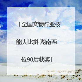 全国文物行业技能大比拼 湖南两位90后获奖