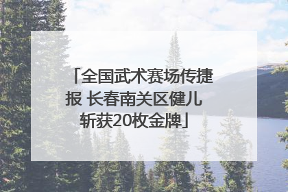全国武术赛场传捷报 长春南关区健儿斩获20枚金牌