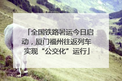 全国铁路暑运今日启动，厦门福州往返列车实现“公交化”运行