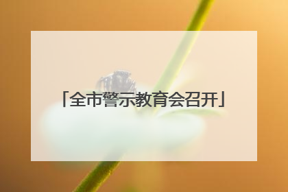 全市警示教育会召开