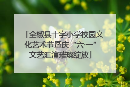 全椒县十字小学校园文化艺术节暨庆“六·一”文艺汇演璀璨绽放