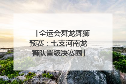 全运会舞龙舞狮预赛：七支河南龙狮队晋级决赛圈