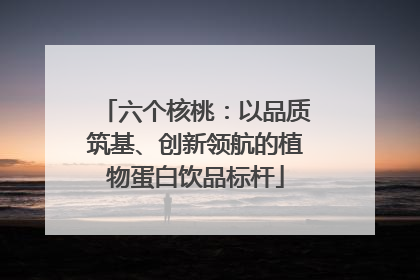 六个核桃：以品质筑基、创新领航的植物蛋白饮品标杆