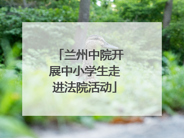 兰州中院开展中小学生走进法院活动