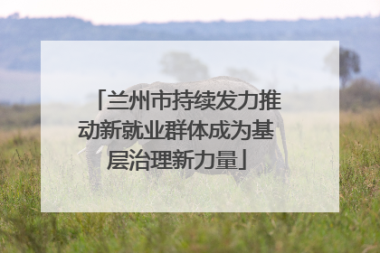 兰州市持续发力推动新就业群体成为基层治理新力量