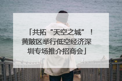 共拓“天空之城”！黄陂区举行低空经济深圳专场推介招商会