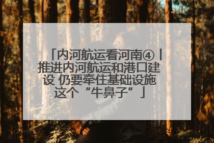 内河航运看河南④丨推进内河航运和港口建设 仍要牵住基础设施这个“牛鼻子”