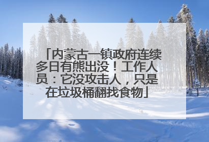内蒙古一镇政府连续多日有熊出没！工作人员：它没攻击人，只是在垃圾桶翻找食物