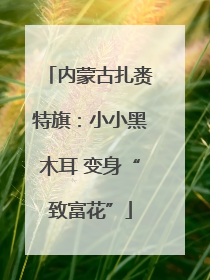 内蒙古扎赉特旗：小小黑木耳 变身“致富花”