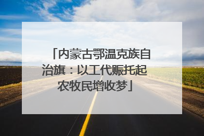 内蒙古鄂温克族自治旗：以工代赈托起农牧民增收梦