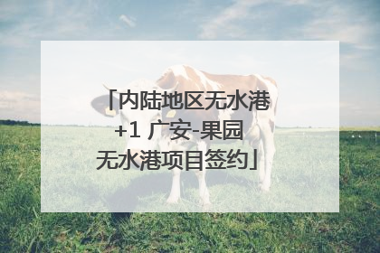 内陆地区无水港+1 广安-果园无水港项目签约