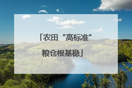 农田“高标准” 粮仓根基稳