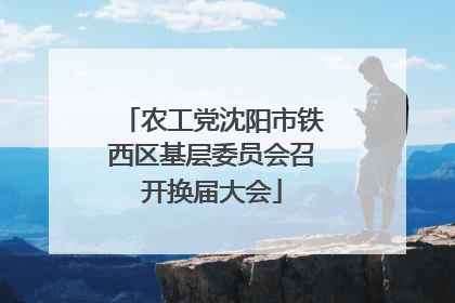 农工党沈阳市铁西区基层委员会召开换届大会