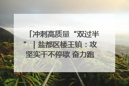 冲刺高质量“双过半”｜盐都区楼王镇：攻坚实干不停歇 奋力跑赢“上半场”