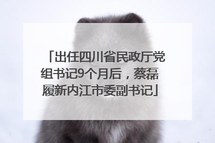 出任四川省民政厅党组书记9个月后，蔡磊履新内江市委副书记