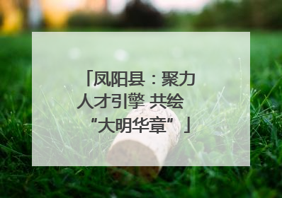 凤阳县：聚力人才引擎 共绘“大明华章”