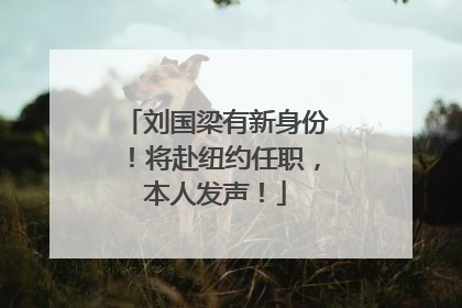 刘国梁有新身份！将赴纽约任职，本人发声！