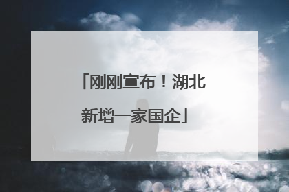 刚刚宣布！湖北新增一家国企