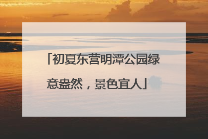 初夏东营明潭公园绿意盎然，景色宜人