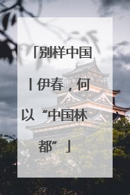 别样中国丨伊春，何以“中国林都”
