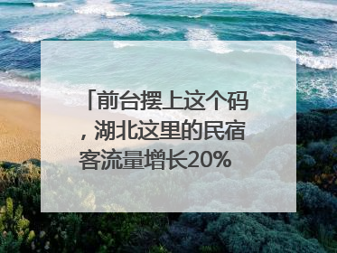前台摆上这个码，湖北这里的民宿客流量增长20%｜湖北市场监管所的故事
