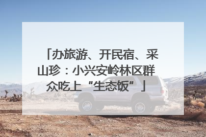 办旅游、开民宿、采山珍：小兴安岭林区群众吃上“生态饭”