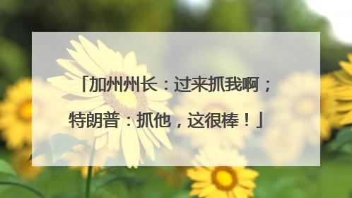 加州州长：过来抓我啊；特朗普：抓他，这很棒！