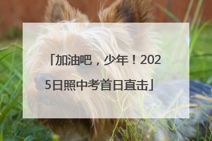 加油吧，少年！2025日照中考首日直击