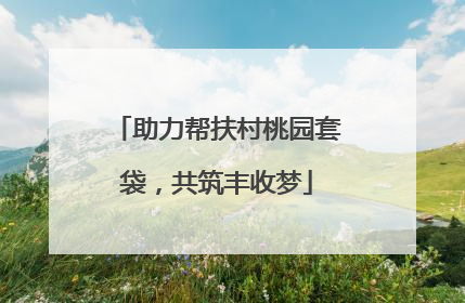 助力帮扶村桃园套袋，共筑丰收梦