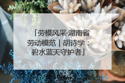 劳模风采·湖南省劳动模范｜胡诗学：碧水蓝天守护者