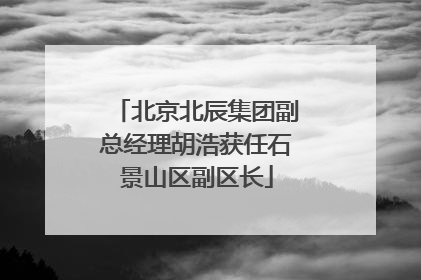 北京北辰集团副总经理胡浩获任石景山区副区长
