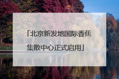 北京新发地国际香蕉集散中心正式启用