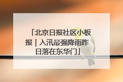 北京日报社区小板报｜入汛最强降雨昨日落在东华门